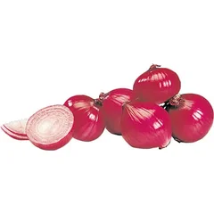 Imagen de referencia de cebolla